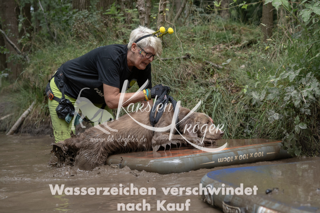 1338_ZZ95171 | kk-dogfotos