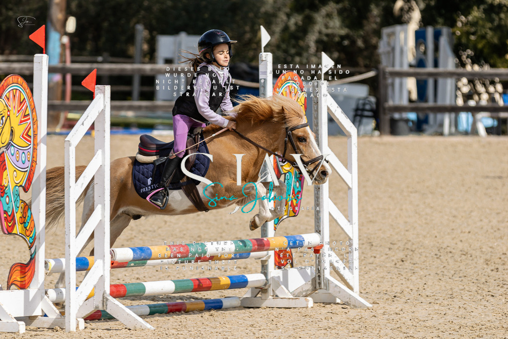 IMG_3063 | s-jay-photography - Realisiert mit Pictrs.com