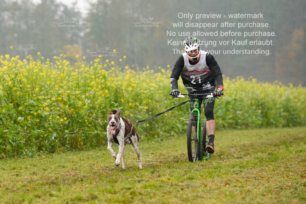 Visbeck_Sa_Scooter_Hc-28 | stephaniefillaphotographie - Realisiert mit Pictrs.com