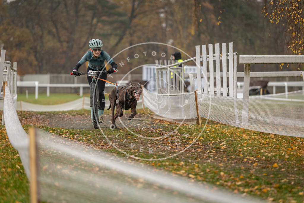 CaniXpix_DV3A7975 | Hundefotografie, Tierfotograf, Pfotenfotografie, Fotoshooting Hund, Hunde Portrait, Hundesport, Hundeportraits, Heideshooting, Hunde, Sportfotograf, Hundefotograf, Turnierhundsport, THS,  - Realisiert mit Pictrs.com