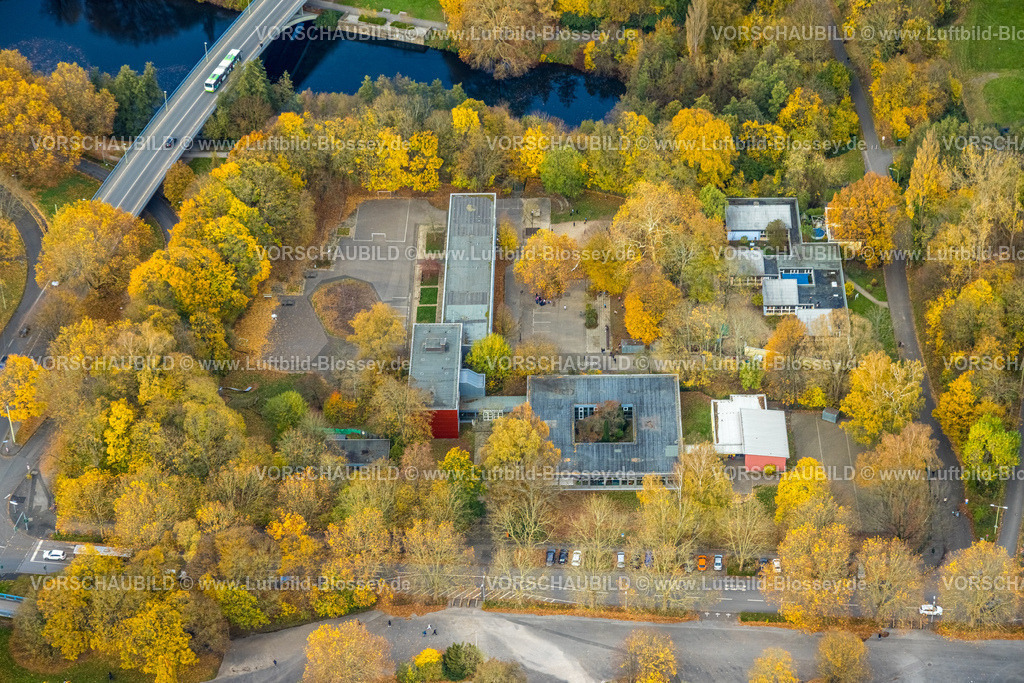 Hagen251101297 | Luftbild, Meinolfschule, Städt. Kath. Grundschule, Kindertagesstätte Ischeland, herbstliche Bäume, Altenhagen, Hagen, Ruhrgebiet, Nordrhein-Westfalen, Deutschland