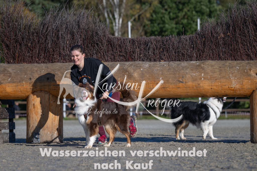 1039-_ZZ91968 | kk-dogfotos