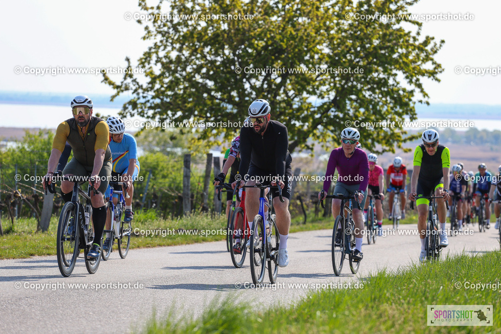 IMG_1952 | @sportshot_your_pictrs #yourpictures#roadtowm2029 #nrm #neusiedlerseeradmarathon #neusiedlersee #neusiedlerseetourismus #burgenland #mörbisch #nrm26 #burgenlandtourismus #voglundco #poweredbyburgenlandtourismus #radsport #rad #marathon #ucigranfondo #visitburgenland #ucigranfondoworldseries