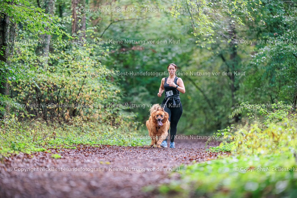 THS-HSV-Blumenthal-2026-Nickbest-Hundefotografie-0254 | Dein Hund! Dein Moment! Deine Erinnerungen! Hundefotografie in Bremen Blumenthal. Ich fange die besonderen Momente deines Vierbeiners ein – ob Indoor mit Blitzanlage oder in der freien Natur. Sicher dir dein Moment und dein Termin für eure Erinnerungen.
