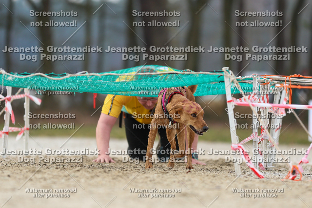 Dog Paparazzi - Strongdog North Mrz26-4491 | Dog Paparazzi Jeanette Grottendiek Fotografie & Videografie - Realisiert mit Pictrs.com