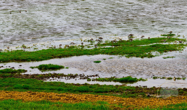 _DSC3029-2 | Shop für Prints Landschaftsfotografie Sächsische Schweiz Naturfotografie in Thüringen Fotos vom Findlingspark Nochten Kloster Sankt Marienstern Bilder Festung Königstein PanoramaRhododendronpark Kromlau FotogalerSchleswig-Holstein Küstenlandschaften