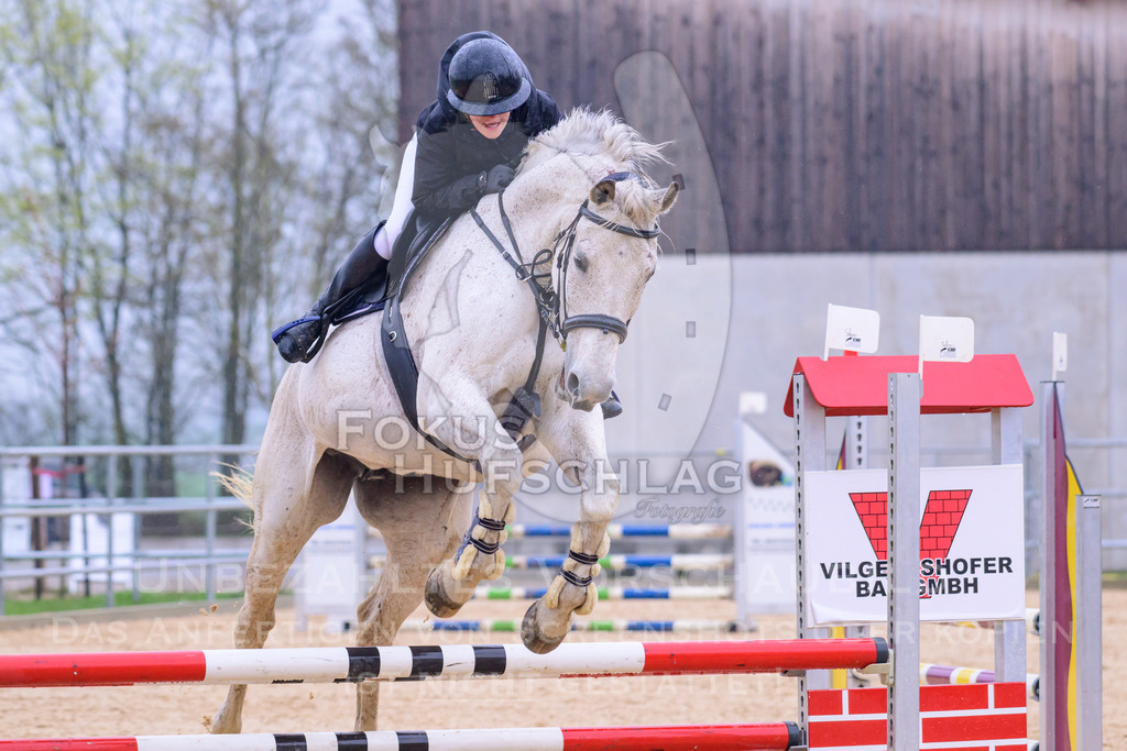 10042026-Mammendorf-Prfg15-0157 | Fokus Hufschlag Fotografie - Realisiert mit Pictrs.com