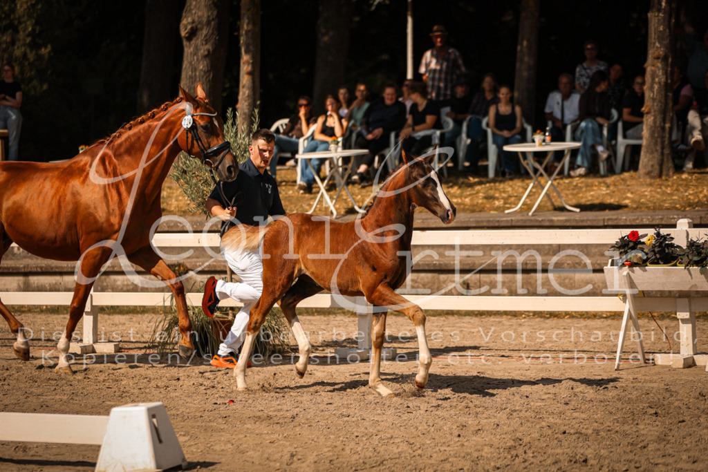 09.DoWBD00060 | Leoni Ertmer Photography - Realisiert mit Pictrs.com