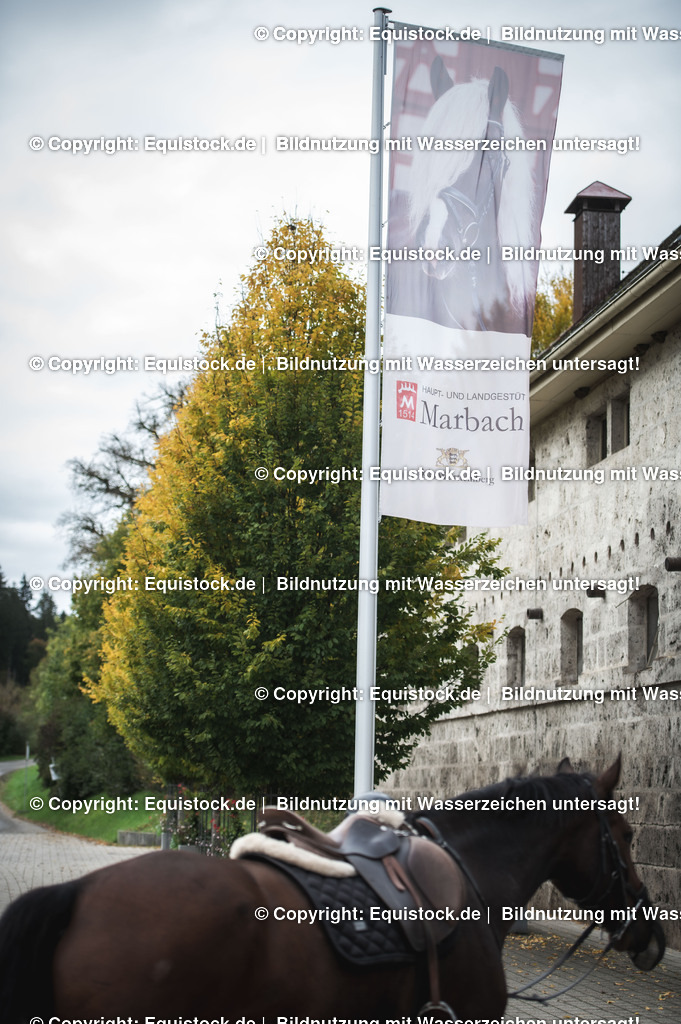 20241013_Jagd-Marbach_0554 | Foto: Thomas Hartig