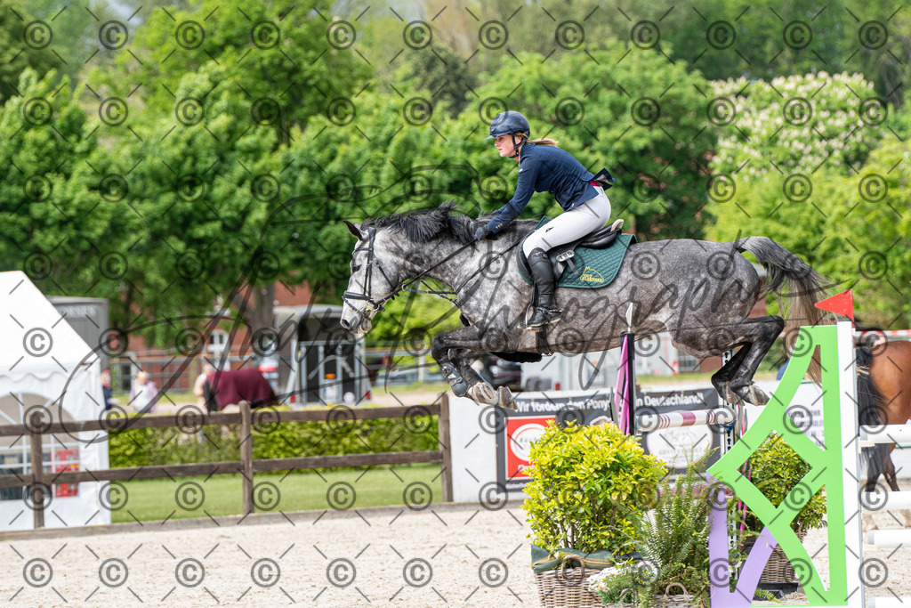 KPT_9848 | andre_photographic