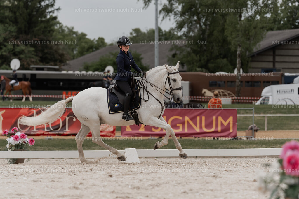 WE_DR_Stoib_328_PI2025_415 | Pferd International München 2025