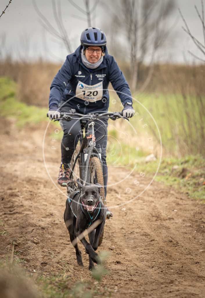 DV3A0917 | Hundefotografie, Tierfotograf, Pfotenfotografie, Fotoshooting Hund, Hunde Portrait, Hundesport, Hundeportraits, Heideshooting, Hunde, Sportfotograf, Hundefotograf, Turnierhundsport, THS,  - Realisiert mit Pictrs.com