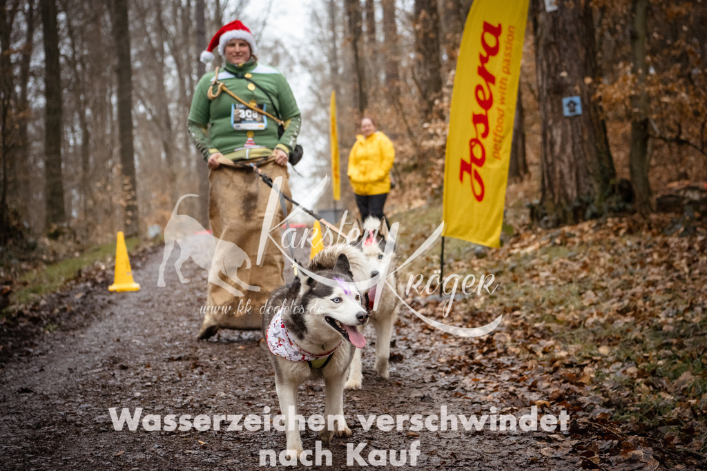 1142_ZZ91347 | kk-dogfotos