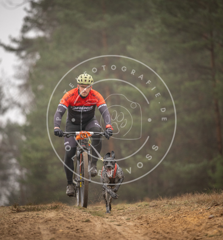 Pfotenfotografie_DV3A2587 | Hundefotografie, Tierfotograf, Pfotenfotografie, Fotoshooting Hund, Hunde Portrait, Hundesport, Hundeportraits, Heideshooting, Hunde, Sportfotograf, Hundefotograf, Turnierhundsport, THS,  - Realisiert mit Pictrs.com
