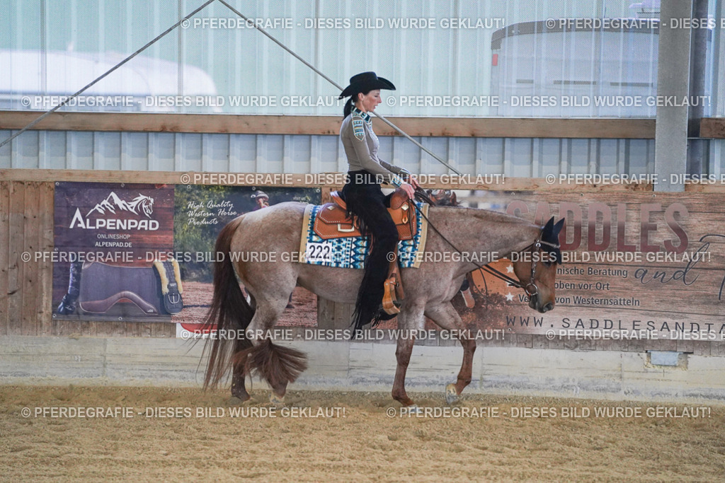 DSC09105 | Pferdegrafie