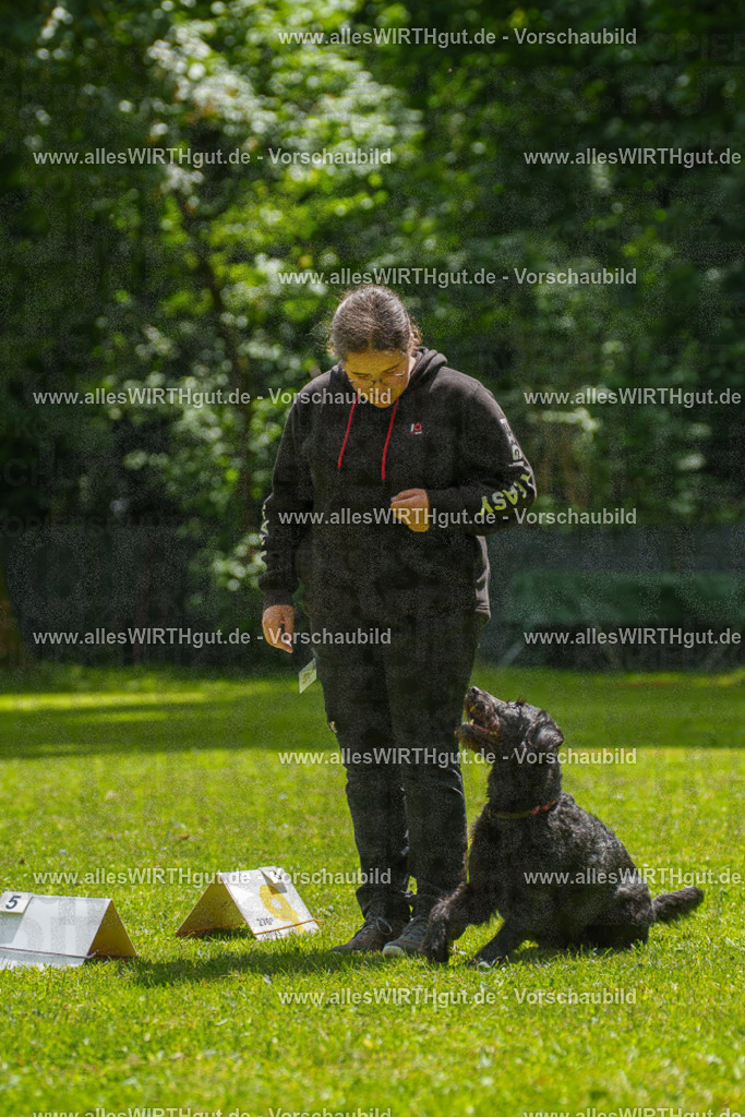 @allesWIRTHgut_Tierfotografie - www.allesWIRTHgut.de - 7R505309 | Professionelle Tierfotografie in Mönchengladbach von Daniel Wirth (allesWIRTHgut). Liebevolle & natürliche Bilder von Hunden & Katzen für unvergessliche Erinnerungen.