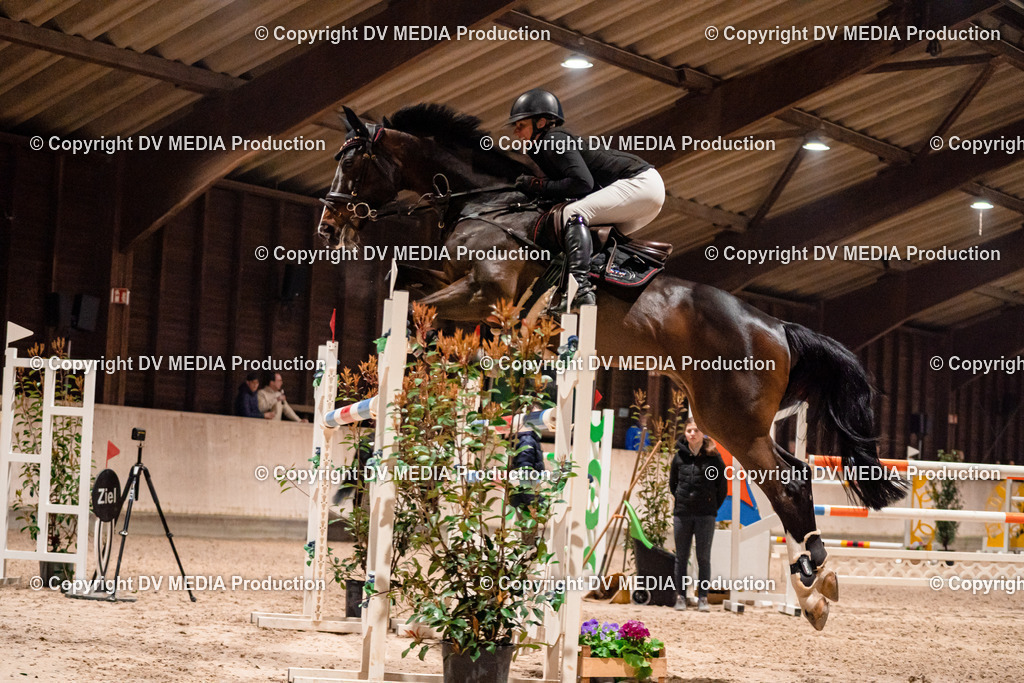 Springen Tag 2-941 | dv-media-shop - Realisiert mit Pictrs.com