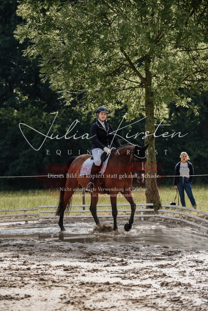 DSC_8989 | Pferde- und Turnierfotografie in Westsachsen. Pferdeportraits, Auftragszeichnungen und intuitive Kunst.