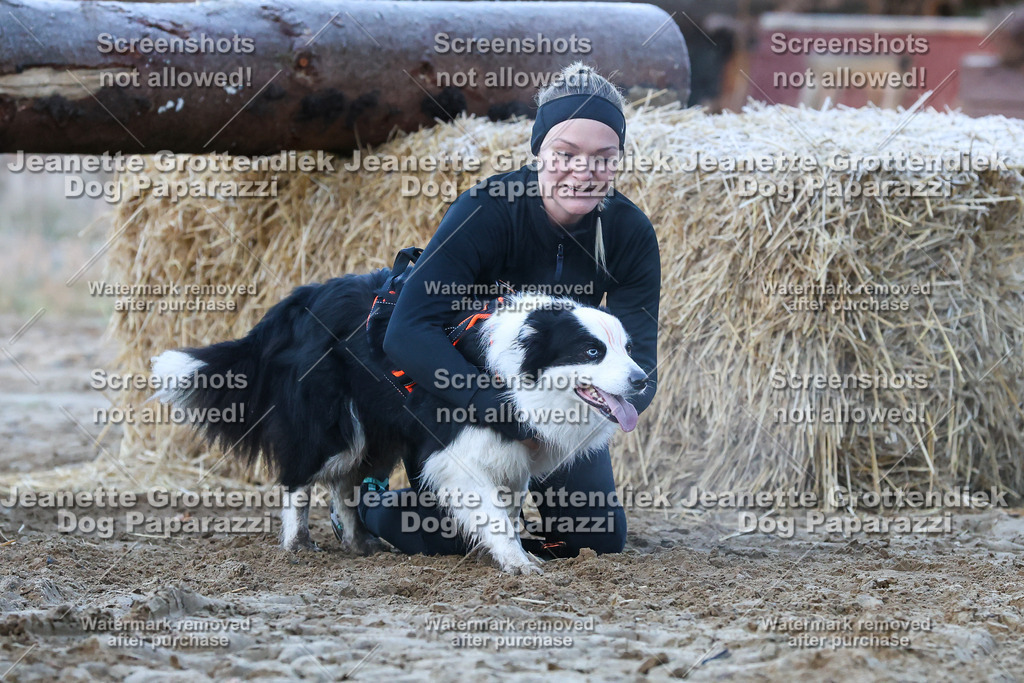 Dog Paparazzi - Strongdog 10-25-367 | Dog Paparazzi Jeanette Grottendiek Fotografie & Videografie - Realisiert mit Pictrs.com
