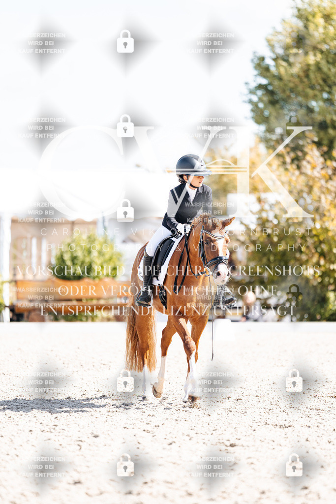 CK903130 | Turnierfotografie Pferdefotografie Trier Rheinland-Pfalz Pferdesport Reitsport Tierfotografie Sportfotografie Pferdevideo Pferdevideografie Equestrianvideography equestrianphotography  - Realisiert mit Pictrs.com