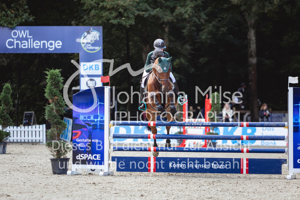240912_OWLCh_AmateurS-235 | Deine schönsten Turniermomente als professionelle Fotos! Entdecke hochwertige Pferdesport-Fotografie im Online-Shop. Jetzt Fotos finden & bestellen!