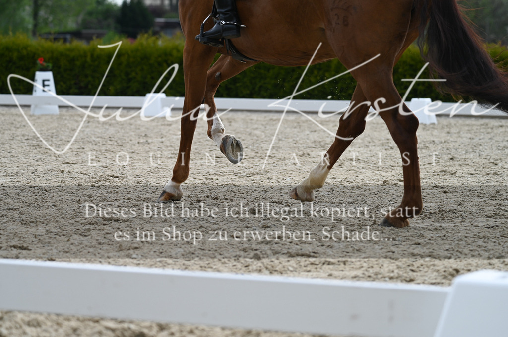 20230512_JK-Röhrsdorf-02-325 | Pferde- und Turnierfotografie in Westsachsen. Pferdeportraits, Auftragszeichnungen und intuitive Kunst.