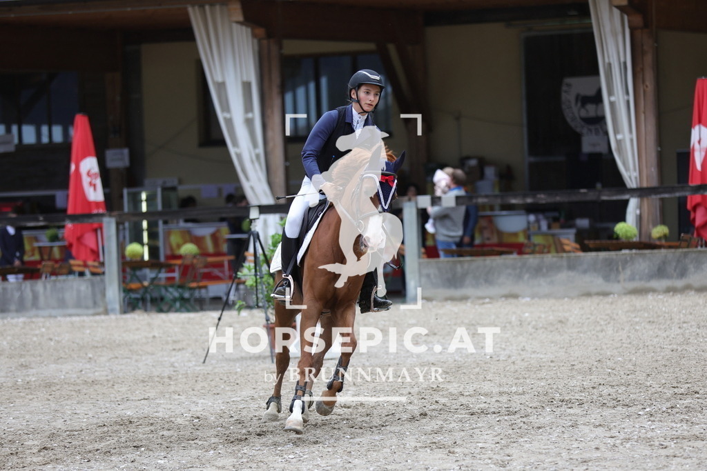 0P6A0134 | Willkommen bei Brunnmayr - Design & Fotografie – Ihrem Spezialisten für Reitturniere und Pferdeveranstaltungen in Oberösterreich, Salzburg und Bayern! Seit über 17 Jahren sind wir leidenschaftlich dabei.