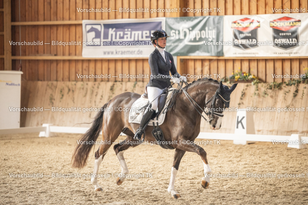 _D5A6530 | Emotionale Pferde- & People-Fotografie rund um Heidelberg, Leimen & Umgebung. Natürliche Fotos von Pferd, Mensch & Familie. Jetzt Termin sichern!