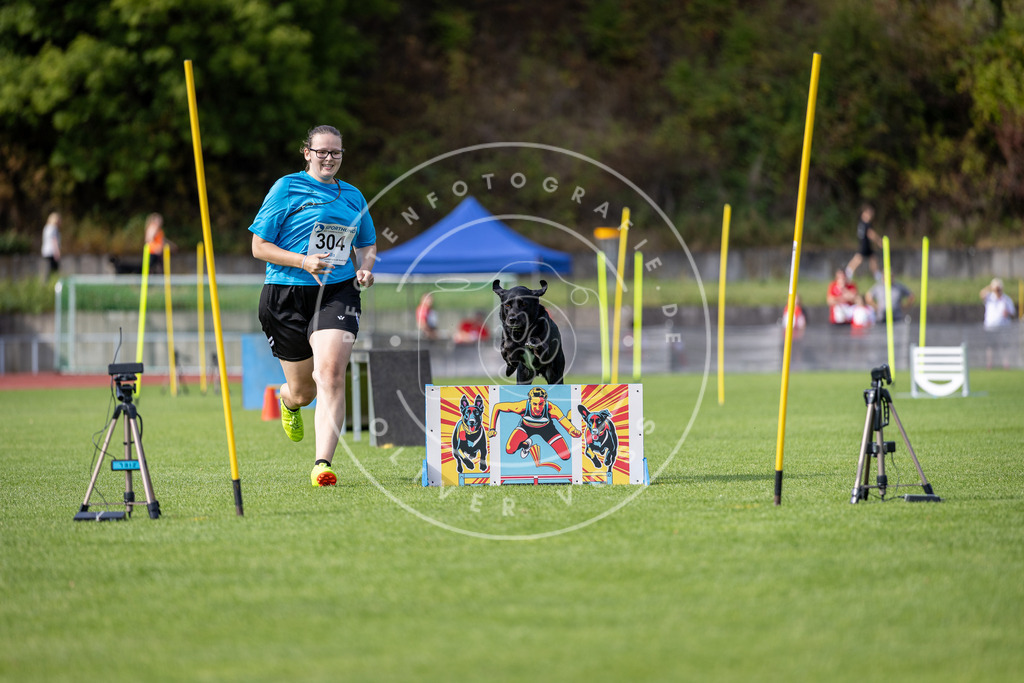 Pfotenfotografie_DV3A1090 | Hundefotografie, Tierfotograf, Pfotenfotografie, Fotoshooting Hund, Hunde Portrait, Hundesport, Hundeportraits, Heideshooting, Hunde, Sportfotograf, Hundefotograf, Turnierhundsport, THS,  - Realisiert mit Pictrs.com