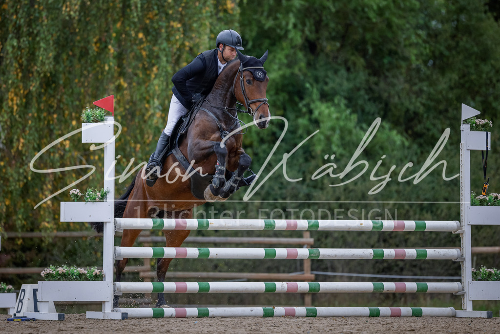20251012-_3LI3709 | Tierfotografie Pferde, Hunde, Katzen, Haustiere.
Turnierfotografie Reitturniere, Reiten, Springreiten, Dressur in Hanau, dem Main-Kinzig-Kreis und dem Rhein-Main- Gebiet um Frankfurt