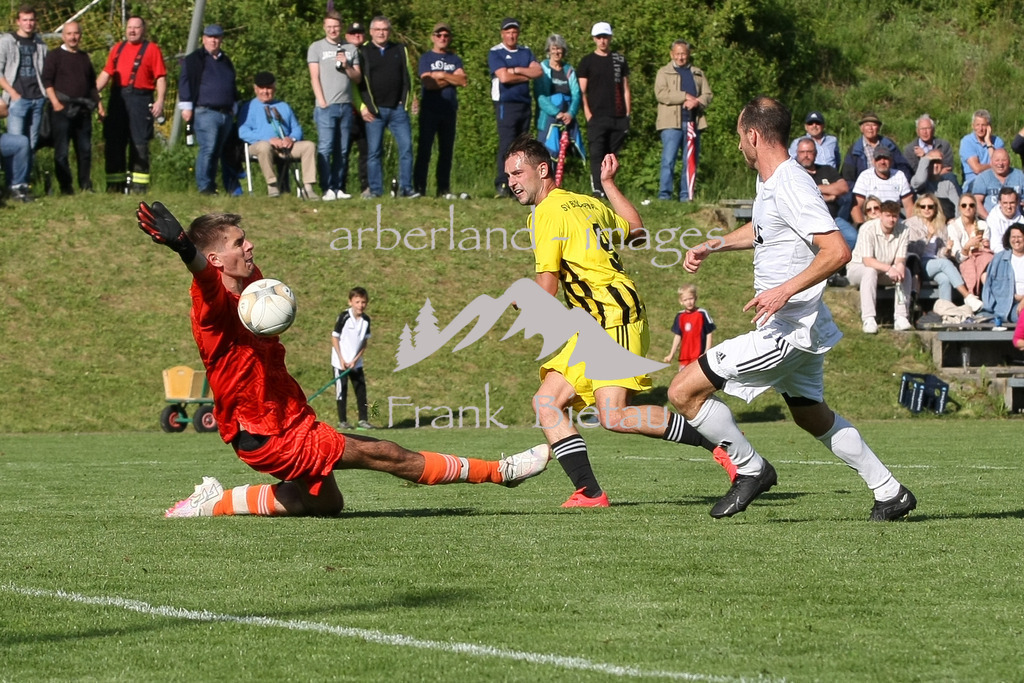 993T8448 | 3:1, Petr Prucha