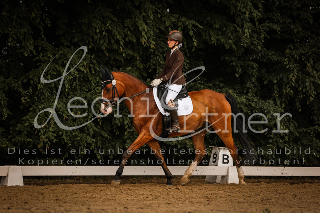 DoDrA00334 | Leoni Ertmer Photography - Realisiert mit Pictrs.com