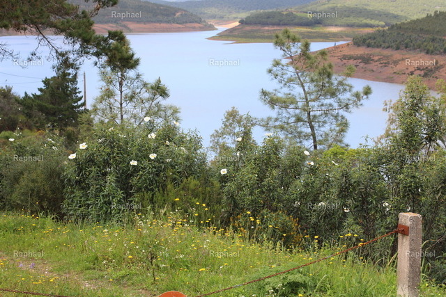 IMG_2952 | Raphael - Realisiert mit Pictrs.com