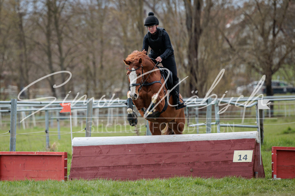 20260329-_3LI5196 | Tierfotografie Pferde, Hunde, Katzen, Haustiere.
Turnierfotografie Reitturniere, Reiten, Springreiten, Dressur in Hanau, dem Main-Kinzig-Kreis und dem Rhein-Main- Gebiet um Frankfurt
