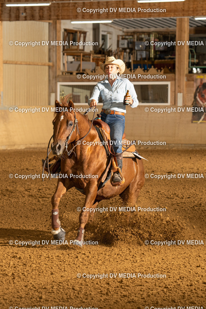 LAU00041 | dv-media-shop - Realisiert mit Pictrs.com