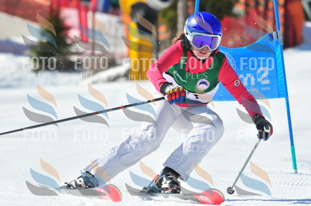 C4181 | holidayphoto