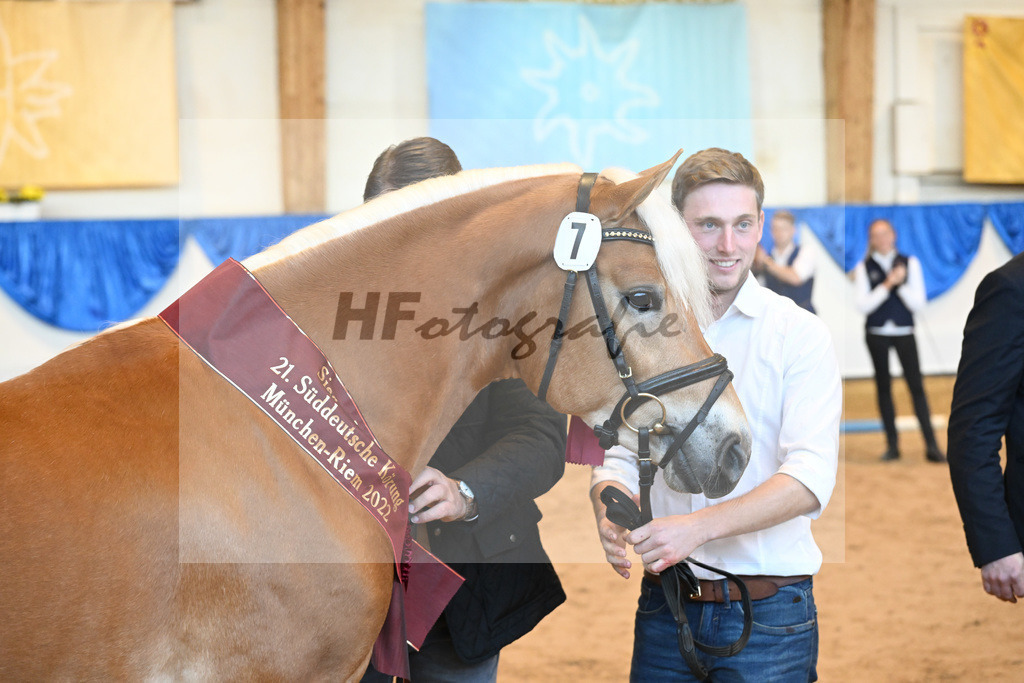 Kat-Nr. 7 Nachtprinz v. Nachtstolz_Schwarz_60221530 | hf-fotografie - Realisiert mit Pictrs.com