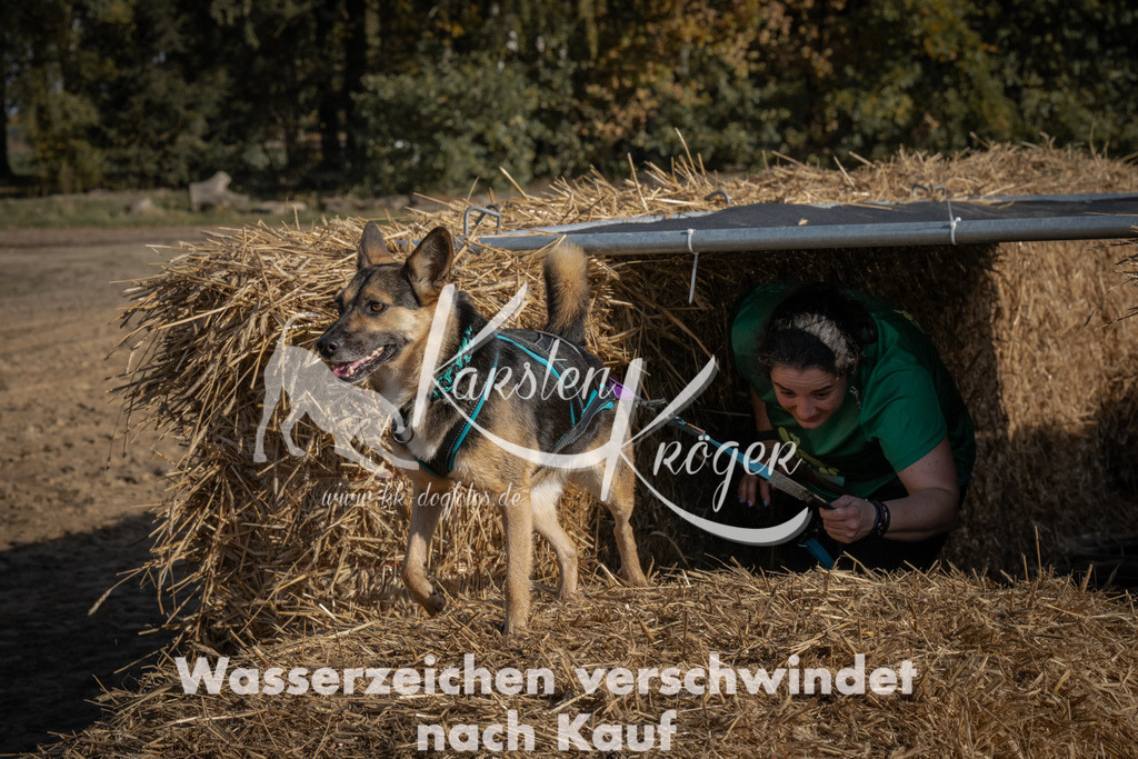 1056_ZZ99678 | kk-dogfotos