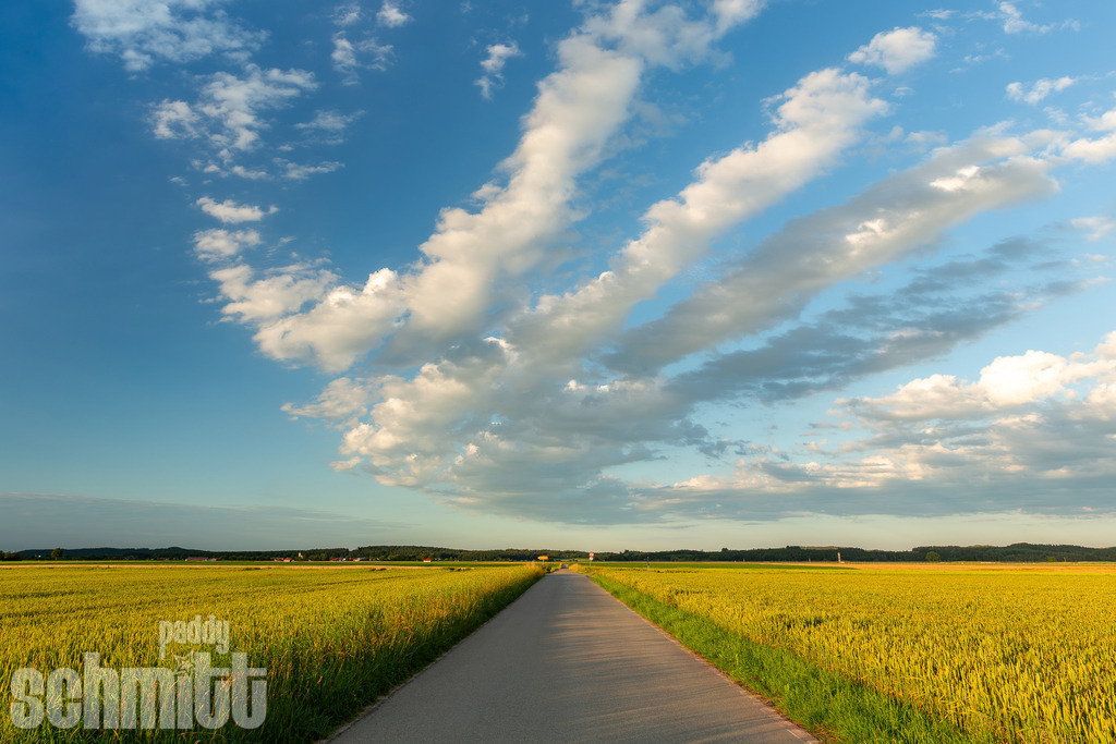 PS-Wege-2026-14 | Entdecke die größte Bildgalerie der Region mit Fotografien aus dem Allgäu, der Bodenseeregion, Oberschwaben, dem Donautal und der Schwäbischen Alb. Landschaften, Luftaufnahmen und Reisefotografie als Wandbild und Fotokunst. - Realisiert mit Pictrs.com