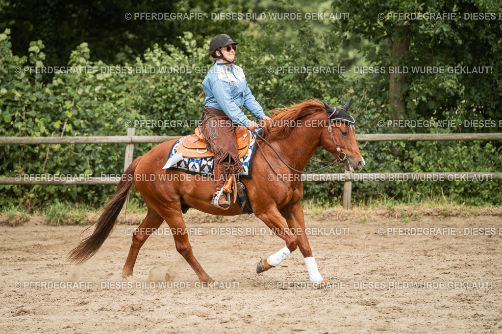 DSC03538 | Pferdegrafie