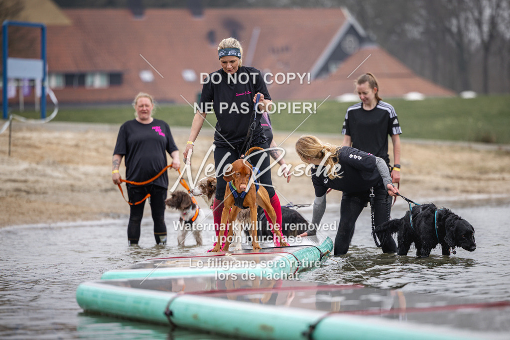 nelerasche_Hulsbeek_Sa1130-1230_169 | nelerasche