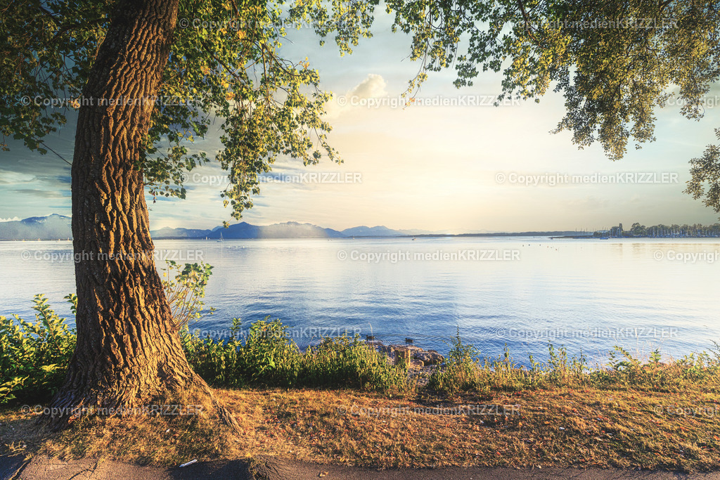 _J3A8436 | medienkrizzler - Realisiert mit Pictrs.com