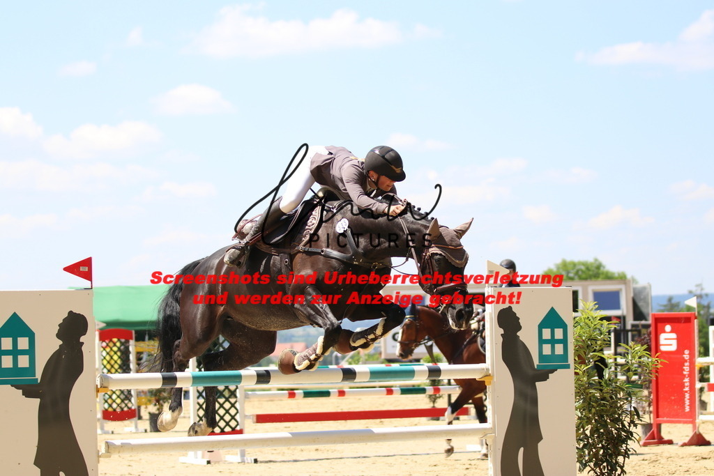 IMG_2367 | lmwpictures - Realisiert mit Pictrs.com