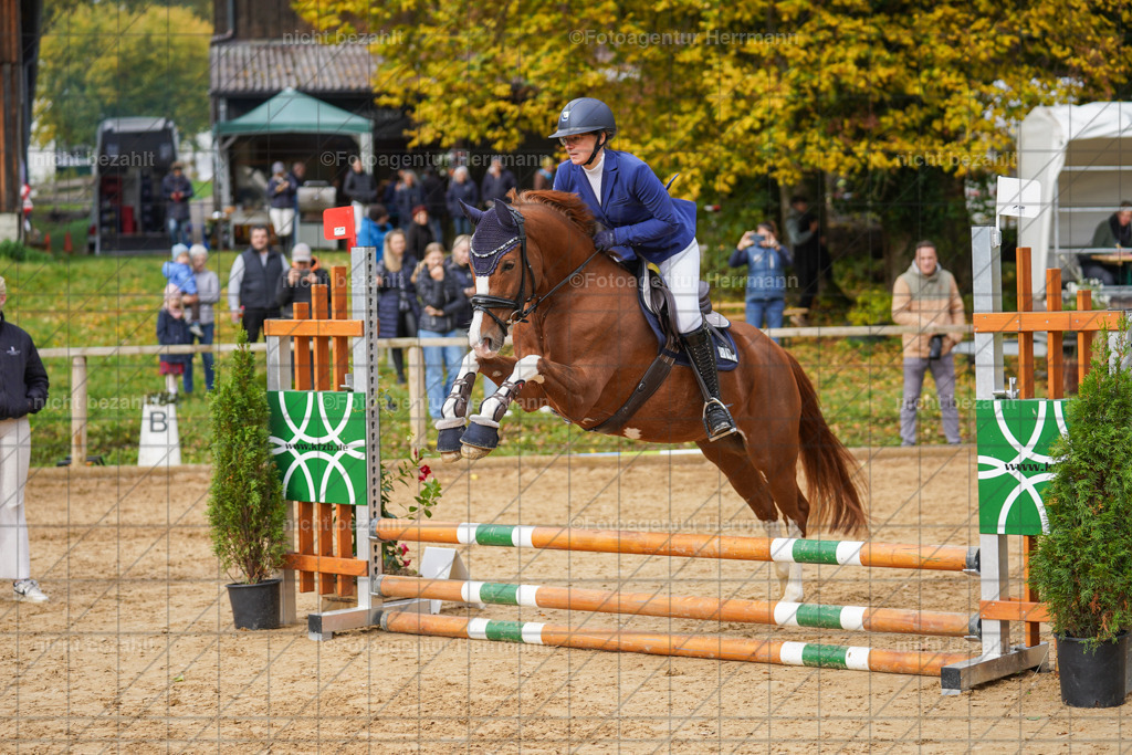 20221009-FAH08501 | Diessen am Ammersee, 2022, Dressur- und Springturnier, Reitsportbilder, Turnierfotografen Bayern, Pferdefotografen, Fotoagentur Herrmann, Turnierbilder