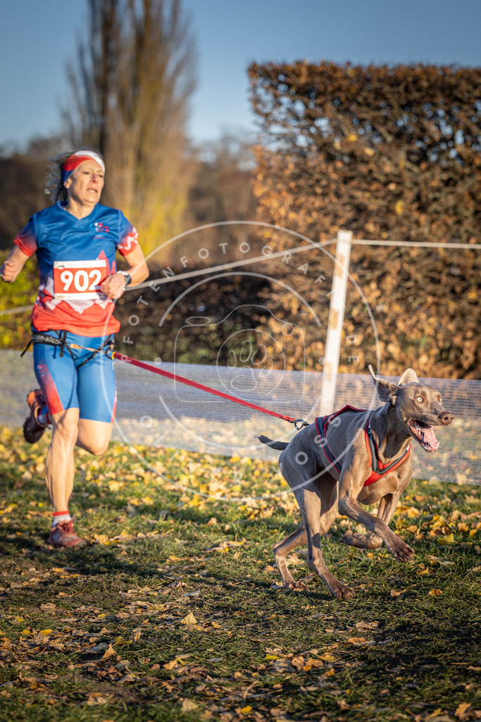 CaniXpix_DV3A4642 | Hundefotografie, Tierfotograf, Pfotenfotografie, Fotoshooting Hund, Hunde Portrait, Hundesport, Hundeportraits, Heideshooting, Hunde, Sportfotograf, Hundefotograf, Turnierhundsport, THS,  - Realisiert mit Pictrs.com