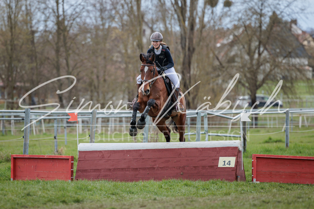 20260329-_3LI5600 | Tierfotografie Pferde, Hunde, Katzen, Haustiere.
Turnierfotografie Reitturniere, Reiten, Springreiten, Dressur in Hanau, dem Main-Kinzig-Kreis und dem Rhein-Main- Gebiet um Frankfurt