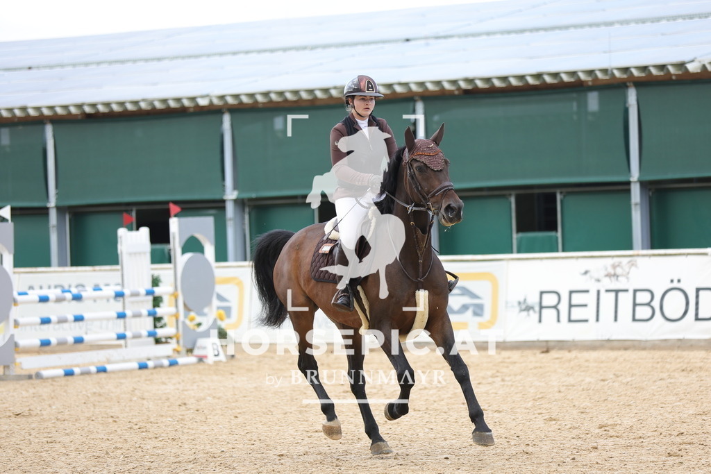 0P6A3412 | Willkommen bei Brunnmayr - Design & Fotografie – Ihrem Spezialisten für Reitturniere und Pferdeveranstaltungen in Oberösterreich, Salzburg und Bayern! Seit über 17 Jahren sind wir leidenschaftlich dabei.