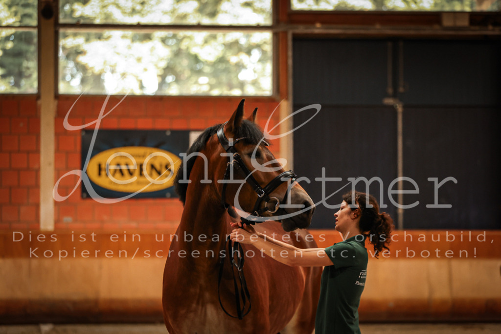 SaFL00039 | Leoni Ertmer Photography - Realisiert mit Pictrs.com