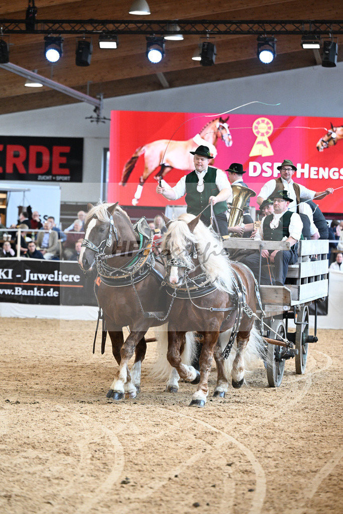 Schauprogramm Sueddeutsches Kaltblut_Schelle_2251613 | hf-fotografie - Realisiert mit Pictrs.com