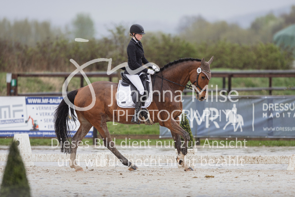 240401_Fruehlingsfest_A1-Dressur-417 | Deine schönsten Turniermomente als professionelle Fotos! Entdecke hochwertige Pferdesport-Fotografie im Online-Shop. Jetzt Fotos finden & bestellen!